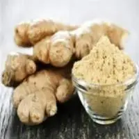 Premium Ginger Powder for Global B2B Export