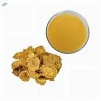 Rhubarb Extract (Ruibarbo)