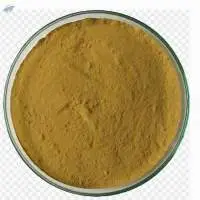 Senna Extract 60%