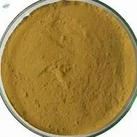 Senna Extract 20%