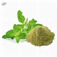 Tulsi