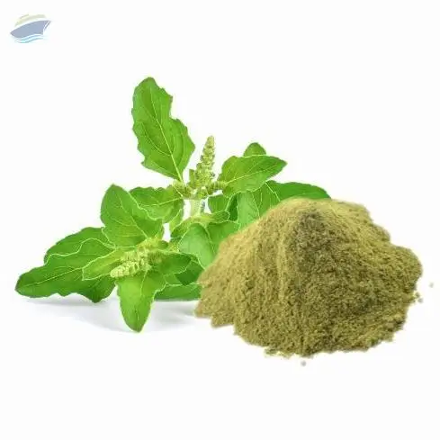Tulsi