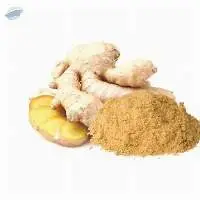 Ginger