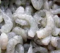Vannamei Shrimps