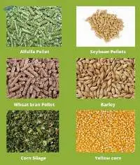 Animal Feed