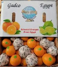 Valencia Oranges