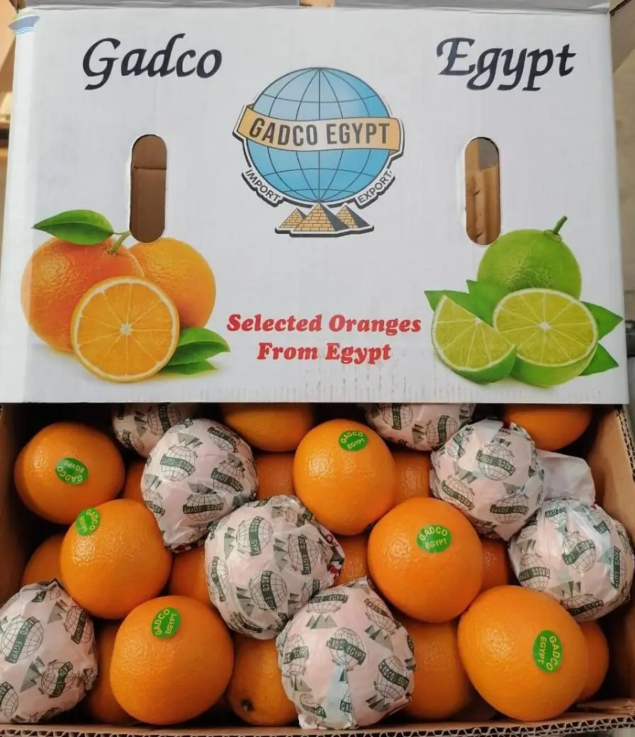 Valencia Oranges