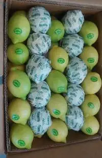 Lemons