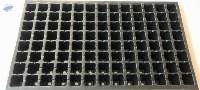 104 Cavities Root trainer tray (Reusable)
