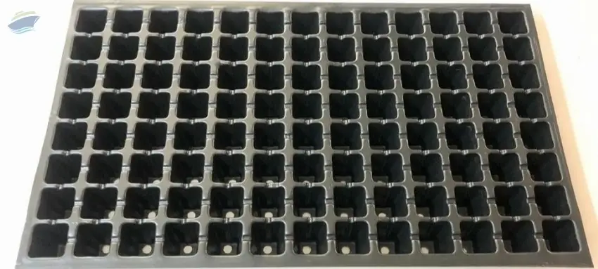 104 Cavities Root trainer tray (Reusable)