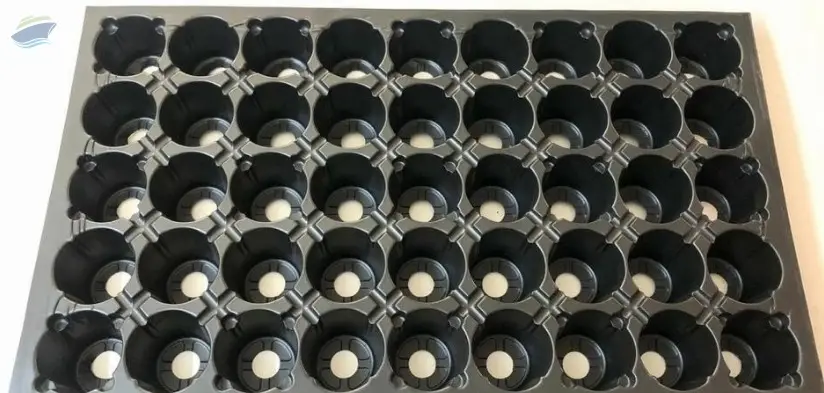 45 Cavities Root trainer tray (Reusable)