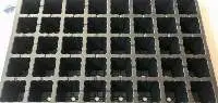 40 Cavities Root trainer tray (Reusable)