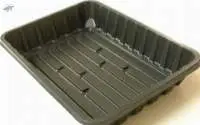 2 Kg Punnet Trays