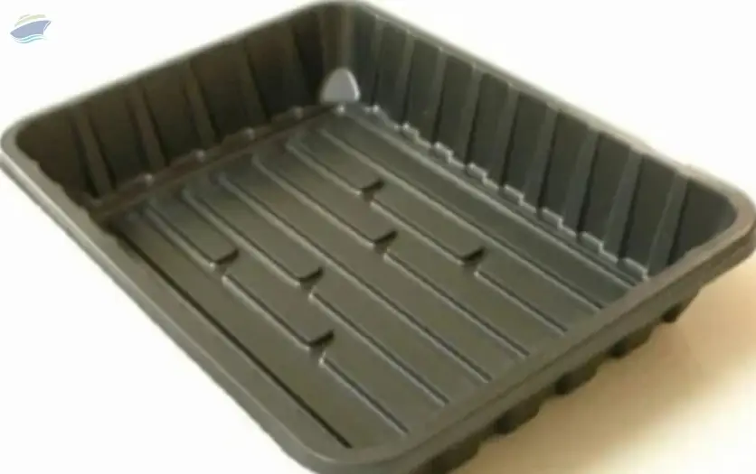 2 Kg Punnet Trays