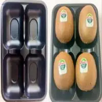 Black Kiwi Tray