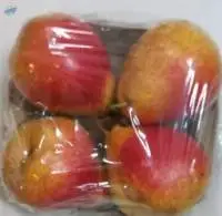 Square Paper Pulp Apple Trays 4 No's
