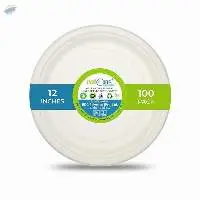 Premium 12 Inch White Disposable Plates