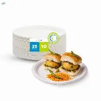 Premium 10 Inch Disposable Plates Bulk Supply