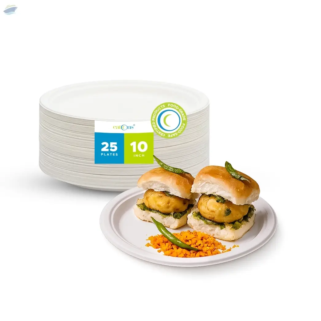 Premium 10 Inch Disposable Plates Bulk Supply