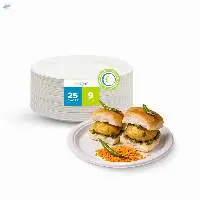 Premium 9 Inch Disposable Plates Bulk Supply