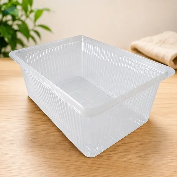 Premium PP Rectangular Containers With Lid 