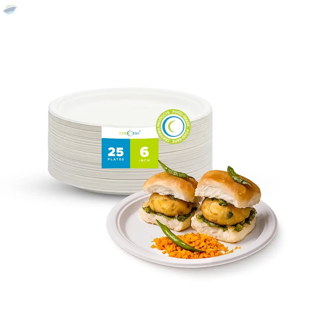 Premium 6 Inch Disposable Plates Bulk Supply 