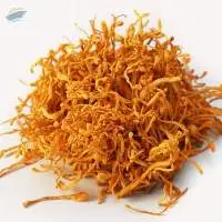Natural Dried Cordycep Militaris Mushroom 