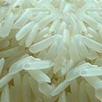 Pk-385 Basmati Rice