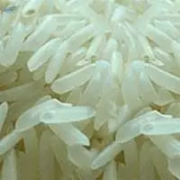 Pk-385 Basmati Rice