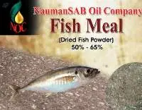Fish Meal