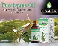 Eucalyptus Oil