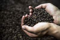 Organic Coffee