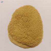 Ginger Beverage Powder