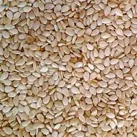 White Natural Sesame Seeds