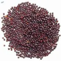Black Mustard Seeds