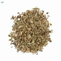 Green Tulsi Leaves Ocimum Sanctum