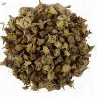 Caltrops Gokhru Seed Dried Tribulus Terrestris