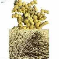 Babool Phali Kikar Phali Powder