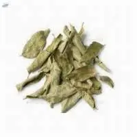 Powder Curry Leaf Murraya Koenigi