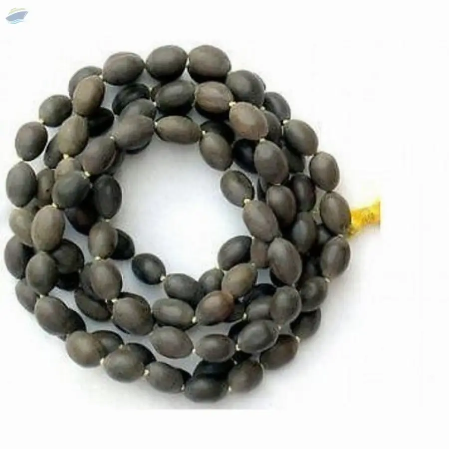 Lotus Seed Mala Kamal Ke Beej Ki Mala