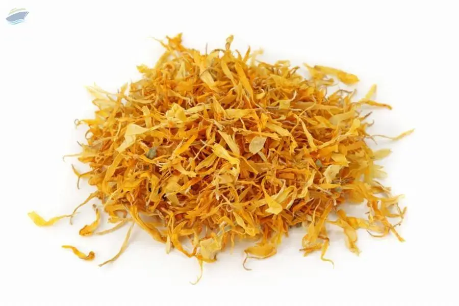 Marigold Flower Dried
