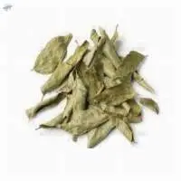 Powder Curry Leaf Murraya Koenigi