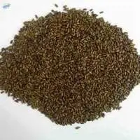 NT Cassia Tora Semen Seeds