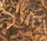 Natural Root Nagarmotha