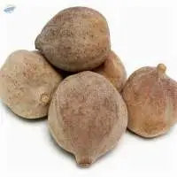 Fruit Brown Bahera Terminalia Bellirica