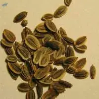 Suwa Seed (Anethum Sowa)