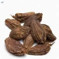 NT Badi Elaichi Black Cardamom Seed