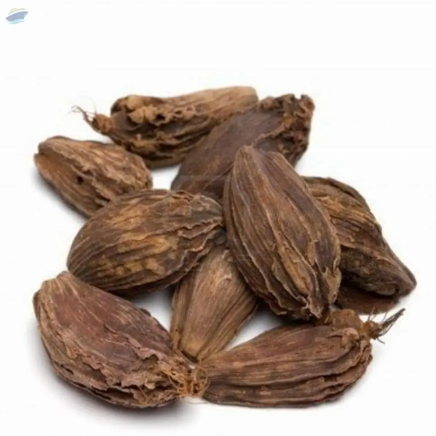 NT Badi Elaichi Black Cardamom Seed