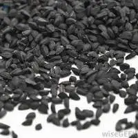 Kalonji Seed (Nigella Sativa Seed)