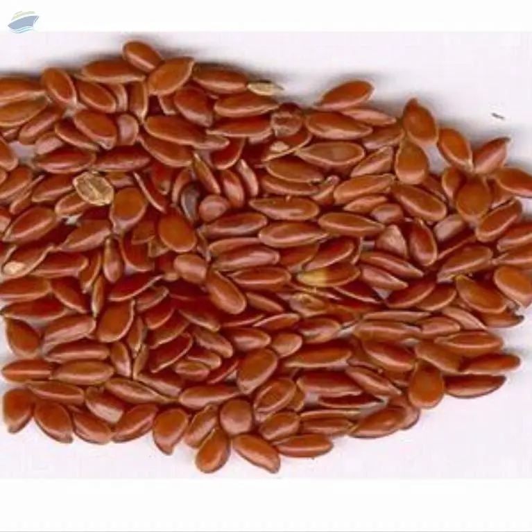 Alsi-Organic Flax Seed